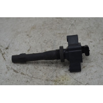 Bobina Accensione Omoda 5 dal 2025 in poi Cod F4J163705110AC  1789716204627
