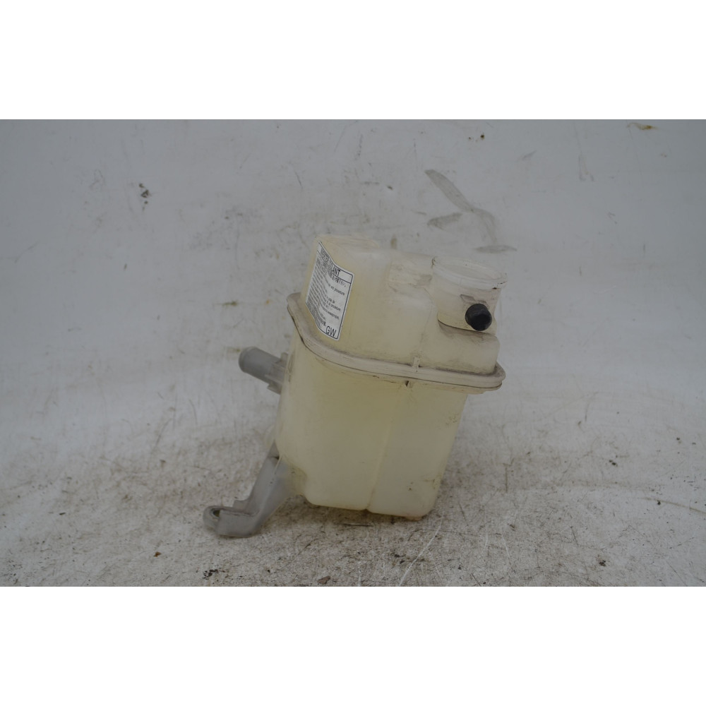 Vaschetta Liquido di Raffreddamento Toyota Auris dal 2012 al 2016 Cod 164800D030  1790160215367
