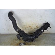 Collettore aspirazione aria Mini Countryman R60 Dal 2010 al 2017 Cod 13717607777  1791191196878