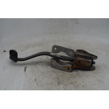 Pedale Freno Dacia Spring dal 2021 in poi Cod 465010412R  1791359191462